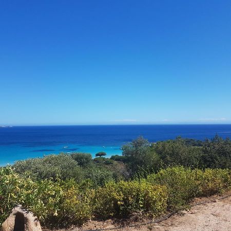 Maison Sur Palombaggia Porto-Vecchio  Eksteriør bilde