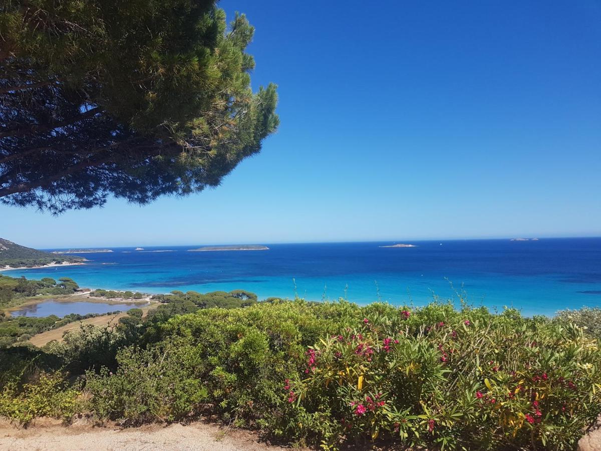Maison Sur Palombaggia Porto-Vecchio  Eksteriør bilde