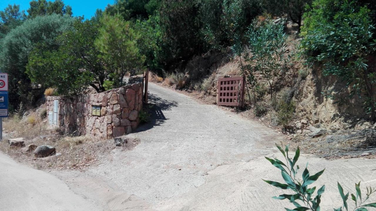 Maison Sur Palombaggia Porto-Vecchio  Eksteriør bilde